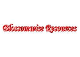 Blossomwise Resources Pte Ltd logo